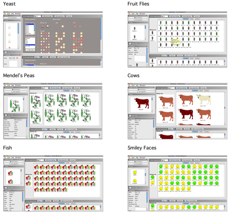 Visualizers